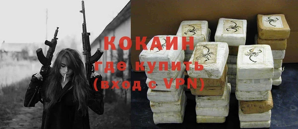 прущие грибы Аркадак