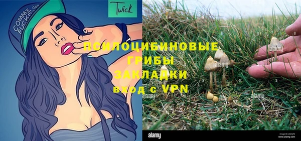 прущие грибы Аркадак