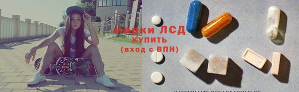 прущие грибы Аркадак