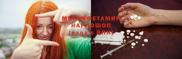 прущие грибы Аркадак
