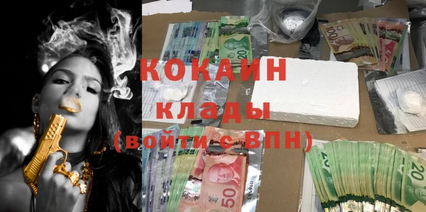 прущие грибы Аркадак
