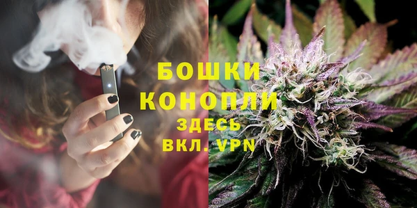 прущие грибы Аркадак