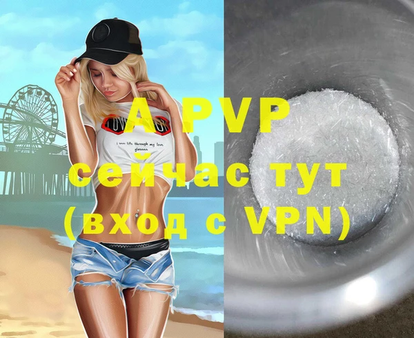 прущие грибы Аркадак