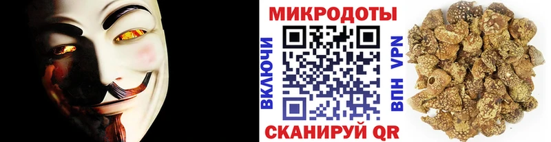 Галлюциногенные грибы Psilocybine cubensis  Грязовец 